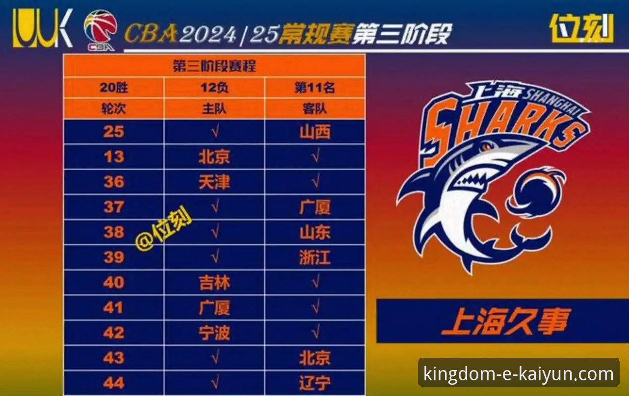 上海男篮豪取12连胜登顶CBA的完整观赛与数据分析指南